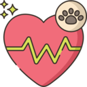 animals,pet,medical,healthcare and medical,heart,cardiogram,heart rate,pulse,electrocardiogram,rate,paw